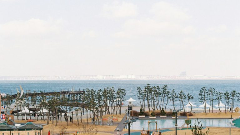 Dijital Göçebe Meslekleri: Dijital Göçebe Olma Yolları [2025]